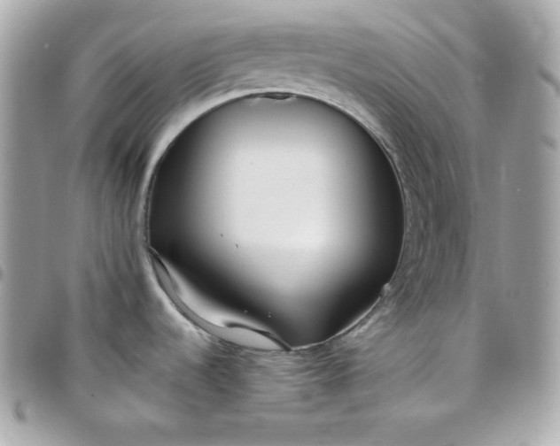 X0000097751536200803211641