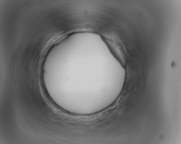 X0000097750001200803281621