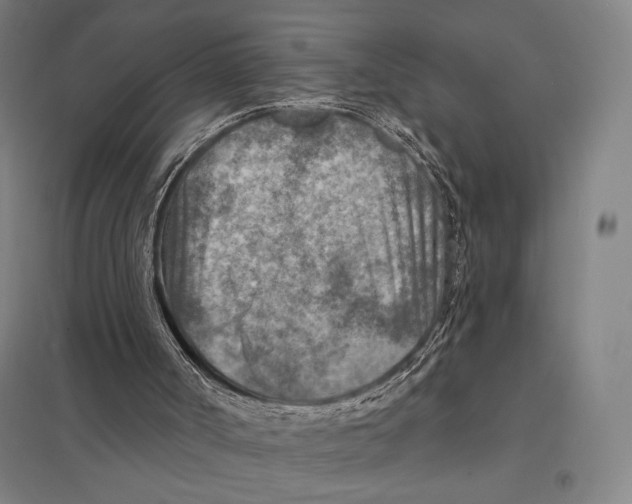 X0000097750002200803281621