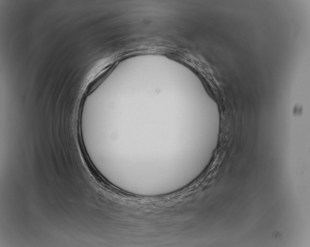 X0000097750003200803281621