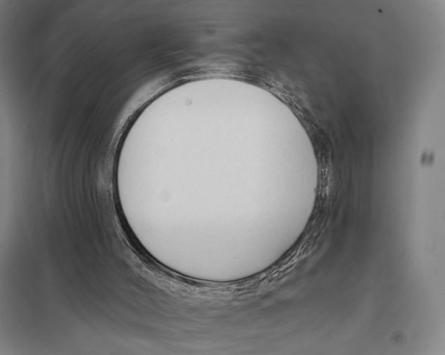 X0000097750004200803281621