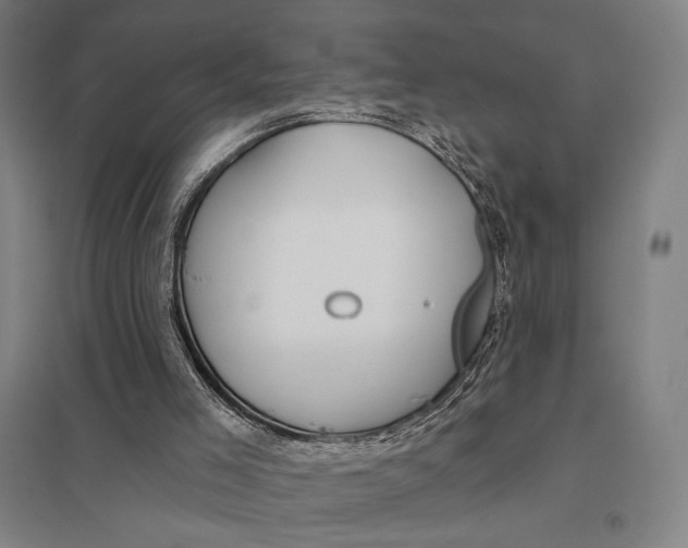 X0000097750005200803281621