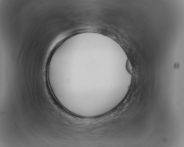 X0000097750006200803281621