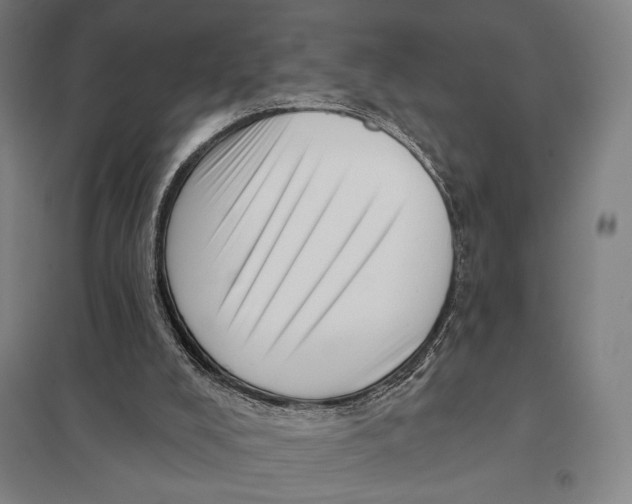 X0000097750008200803281621