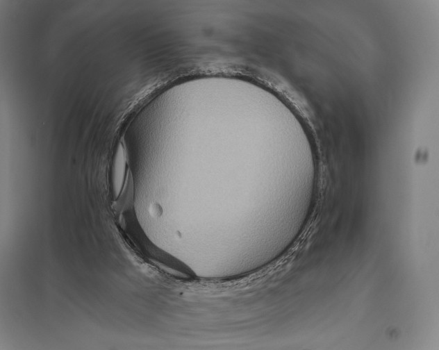 X0000097750009200803281621