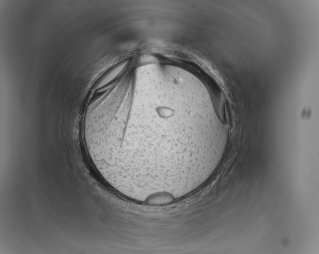 X0000097750010200803281621