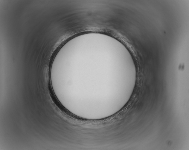 X0000097750011200803281621