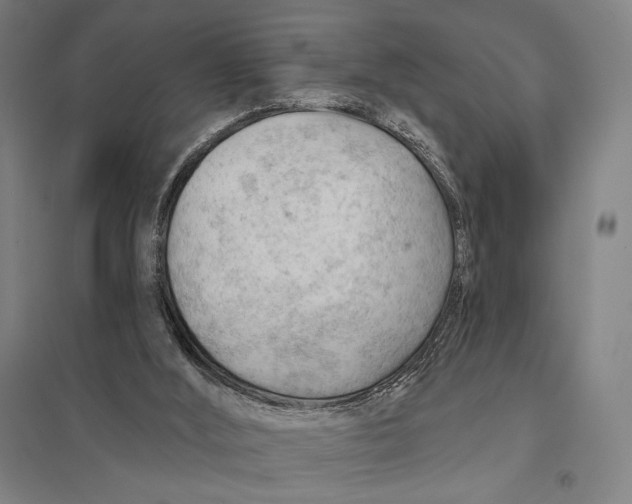 X0000097750012200803281621