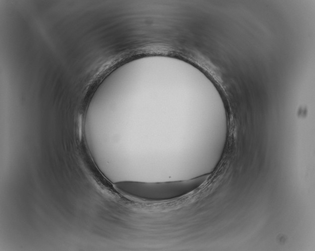 X0000097750013200803281621