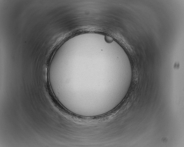 X0000097750014200803281621