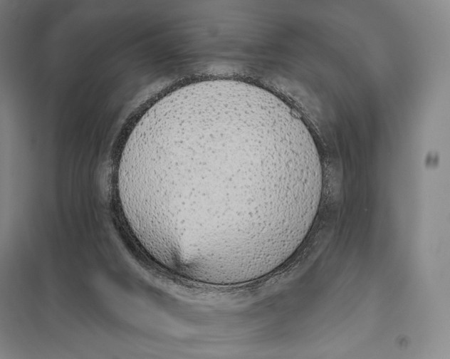 X0000097750016200803281621