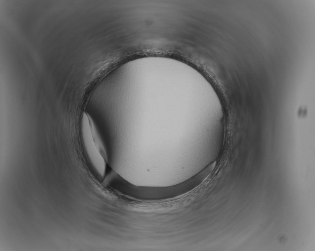 X0000097750017200803281621