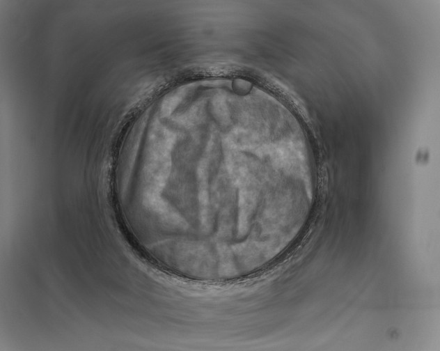 X0000097750018200803281621