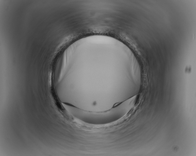 X0000097750019200803281621