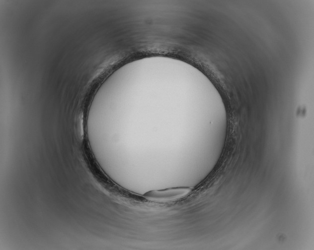 X0000097750020200803281621