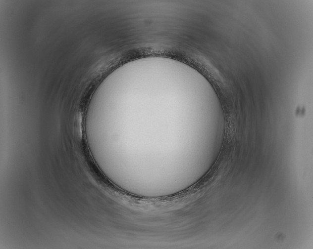 X0000097750022200803281621