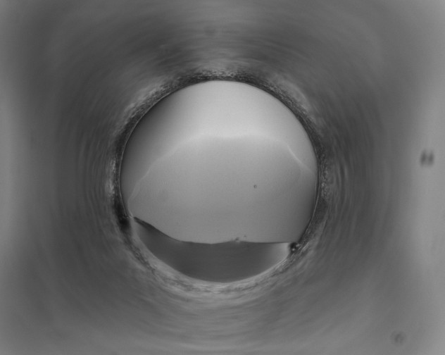 X0000097750023200803281621