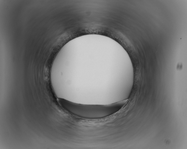 X0000097750025200803281621