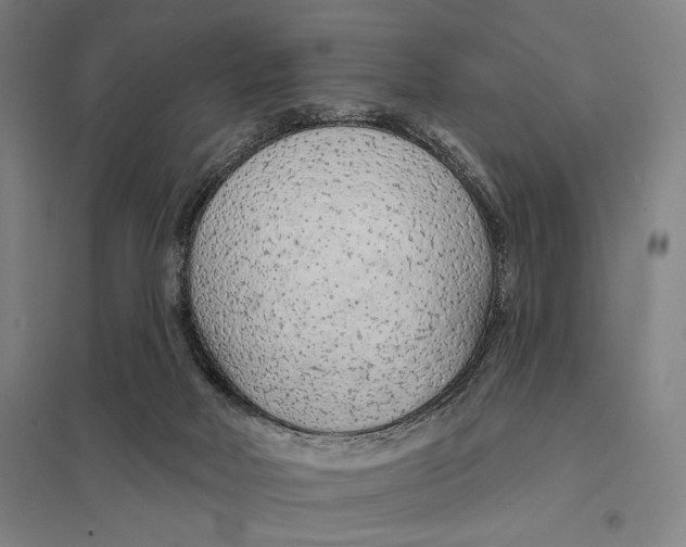 X0000097750026200803281621