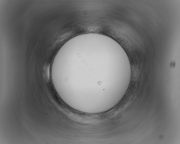 X0000097750028200803281621