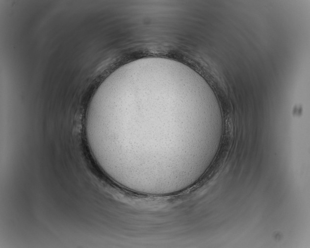 X0000097750032200803281621