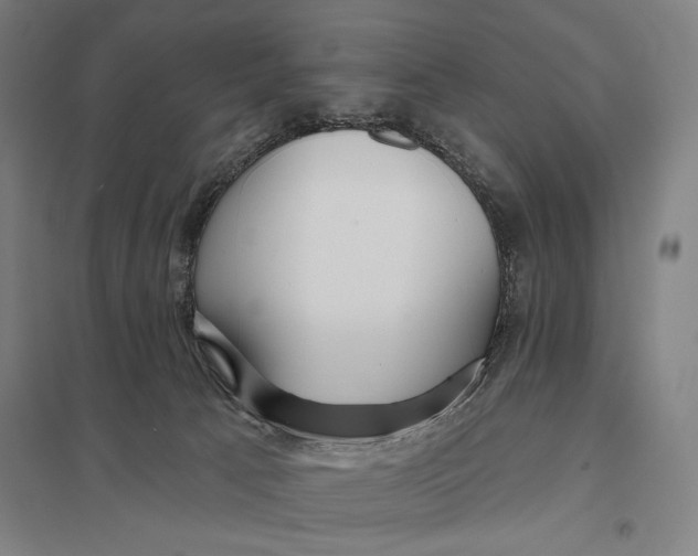 X0000097750033200803281621