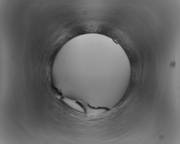 X0000097750035200803281620