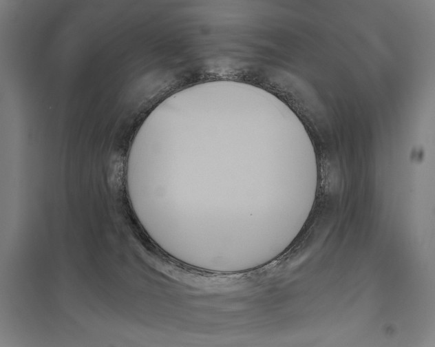 X0000097750036200803281620