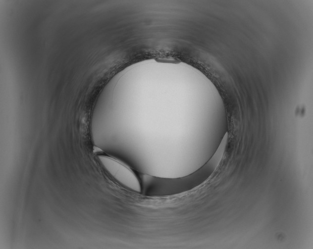 X0000097750037200803281620