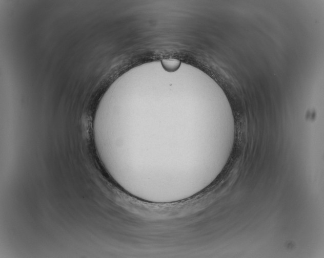 X0000097750038200803281620