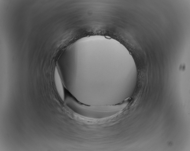 X0000097750039200803281620