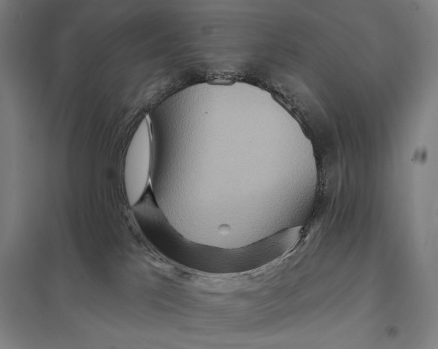 X0000097750041200803281620