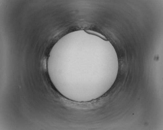 X0000097750042200803281620