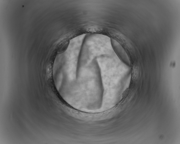 X0000097750043200803281620