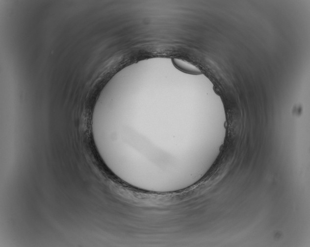 X0000097750044200803281620