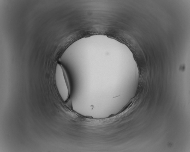 X0000097750045200803281620