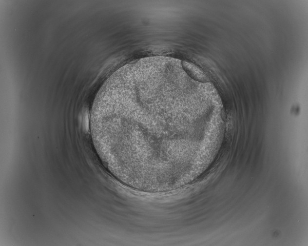 X0000097750046200803281620