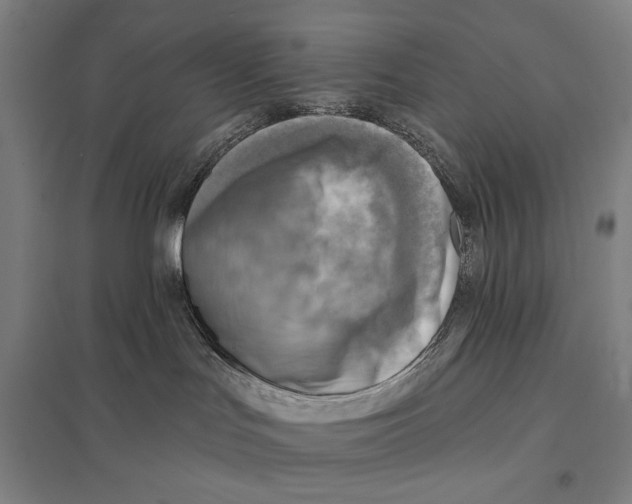 X0000097750047200803281620