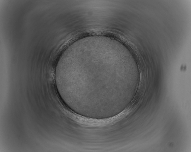 X0000097750048200803281620