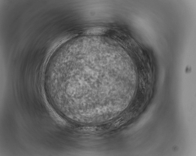 X0000097750049200803281620