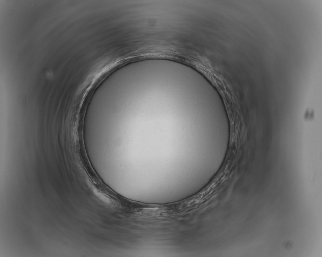 X0000097750050200803281620