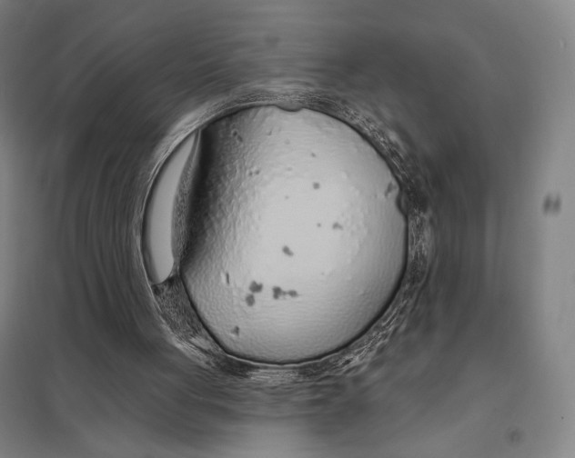 X0000097750051200803281620