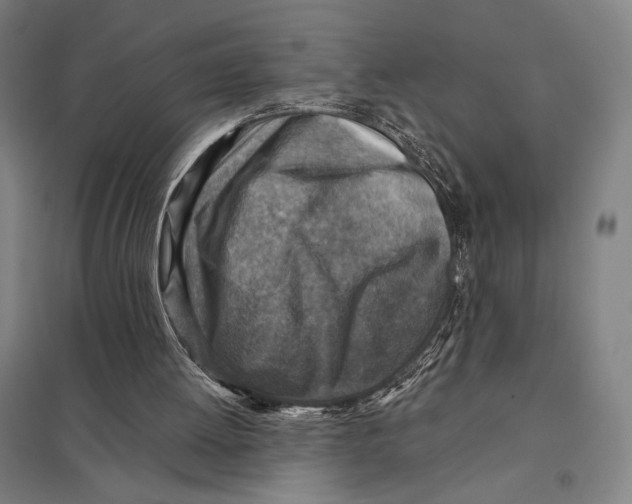 X0000097750052200803281620