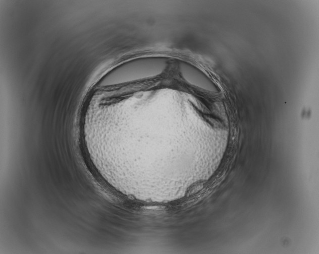 X0000097750053200803281620