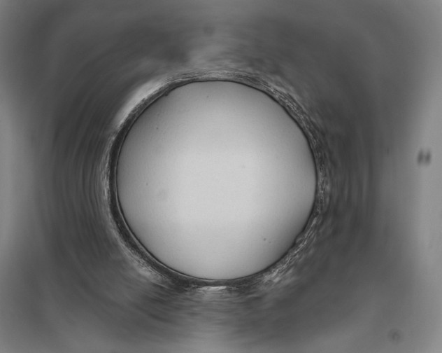 X0000097750054200803281620