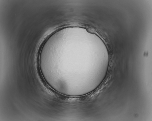 X0000097750055200803281620