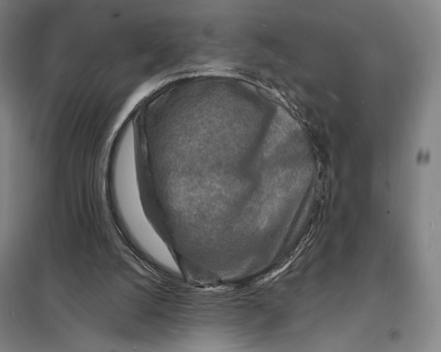 X0000097750056200803281620