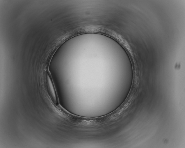 X0000097750057200803281620