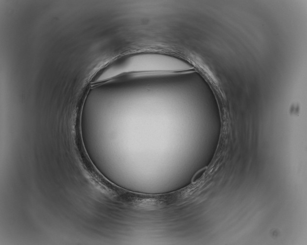 X0000097750058200803281620