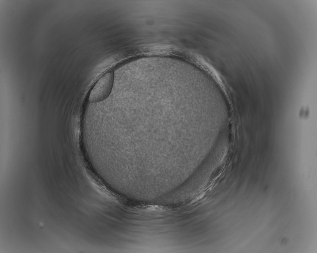 X0000097750059200803281620